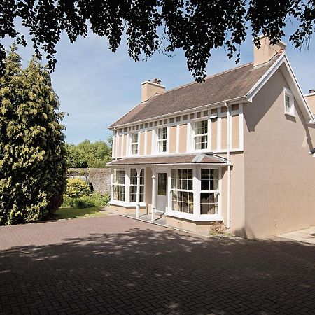 Copper Beech Cottage Henfynyw Upper Exteriör bild